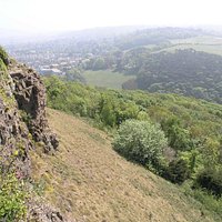 View from top of woodland