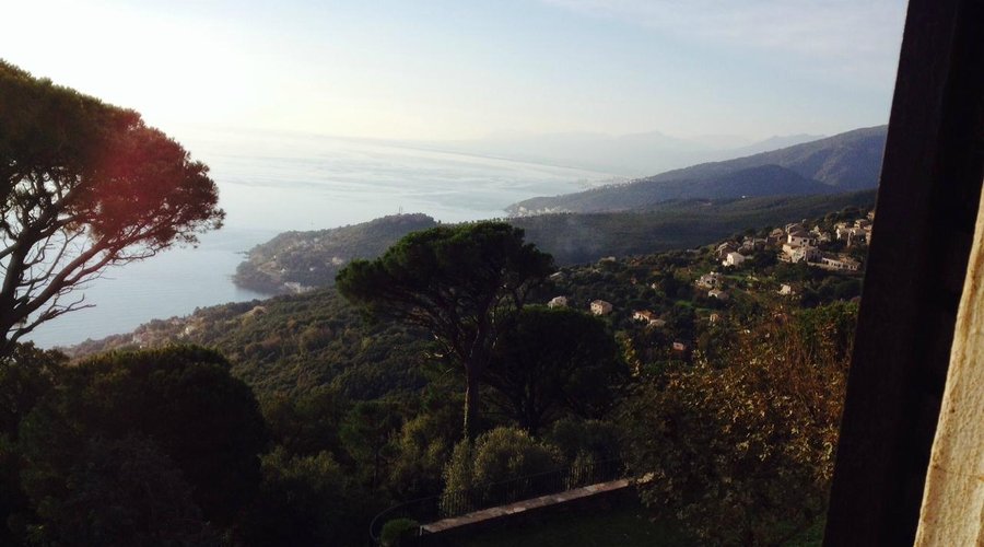 vue de ma chambre