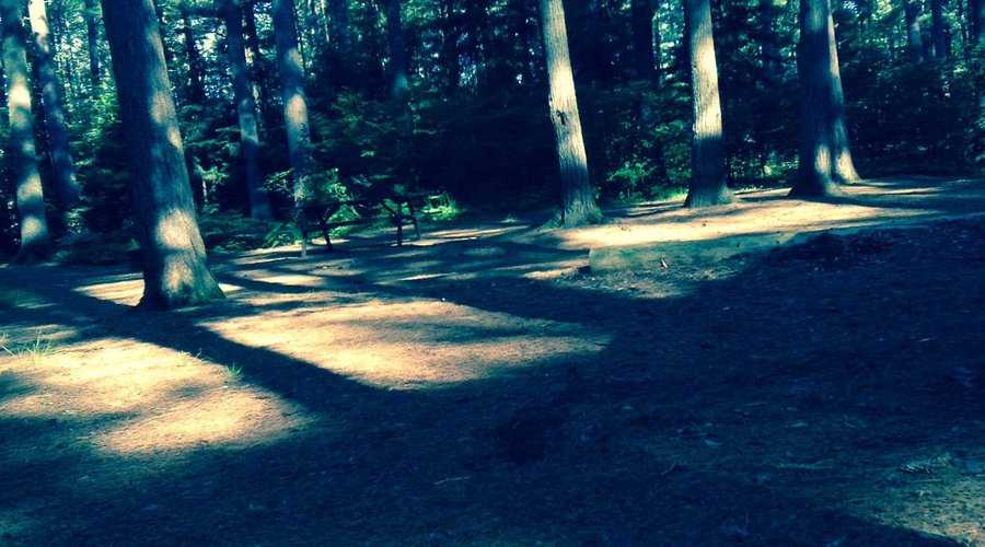 Campsite