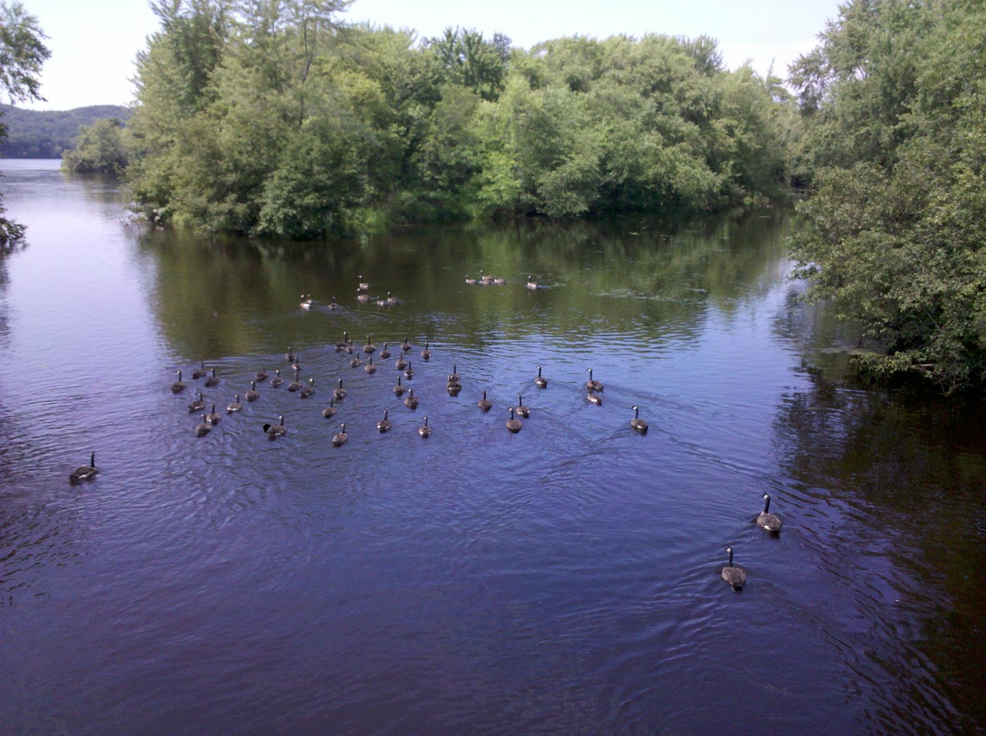 Chippewa River Trail All You Need to Know BEFORE You Go with