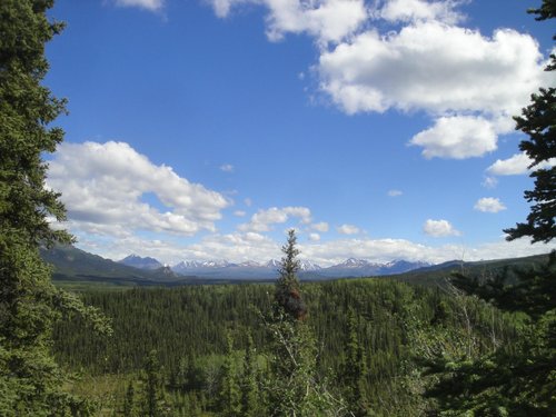Denali National Park and Preserve Stephen A review images