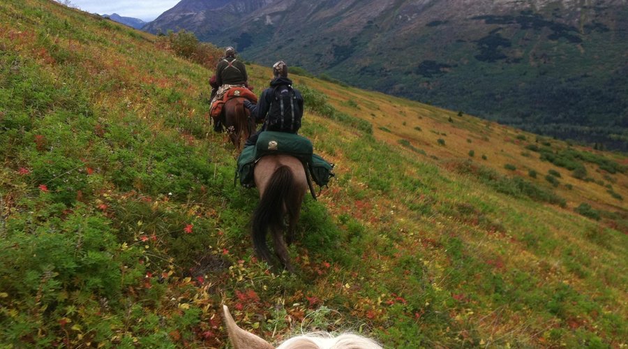 Packing in the mountains...
