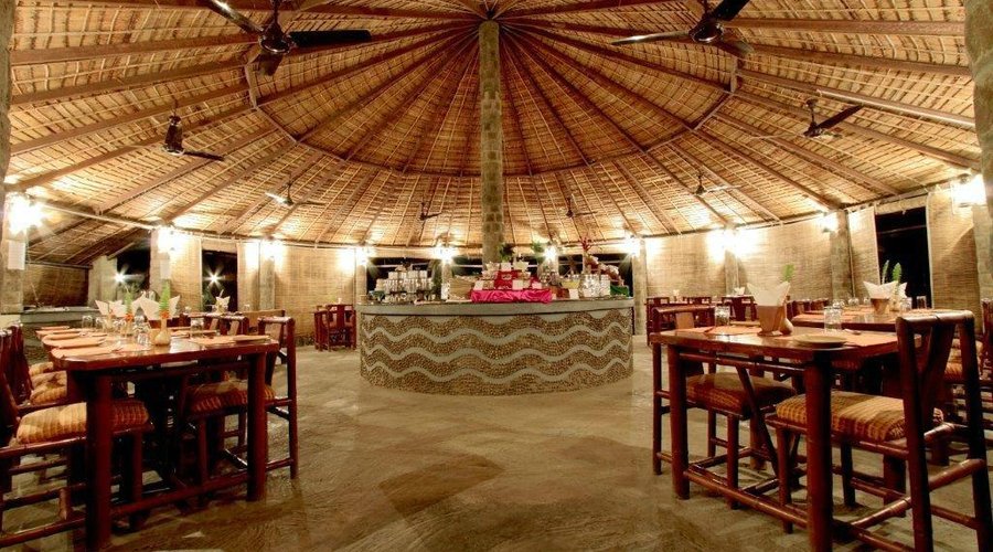 Tiger Camp