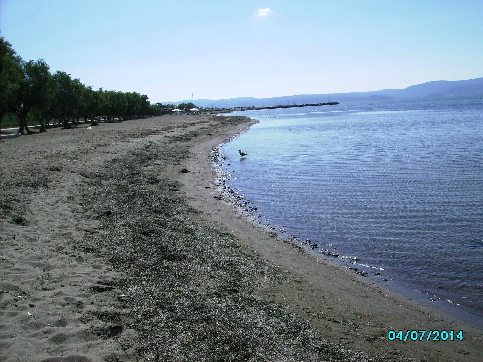 Skala Kallonis Beach - 2022 Alles Wat U Moet Weten VOORDAT Je Gaat ...