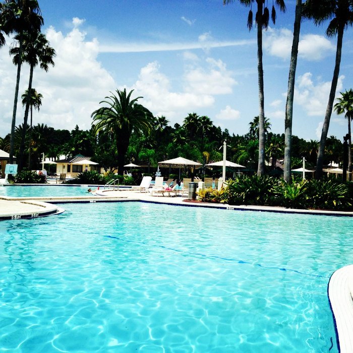 Saddlebrook Resort Pool Pictures & Reviews Tripadvisor