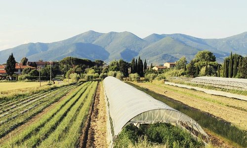 Vista sui monti