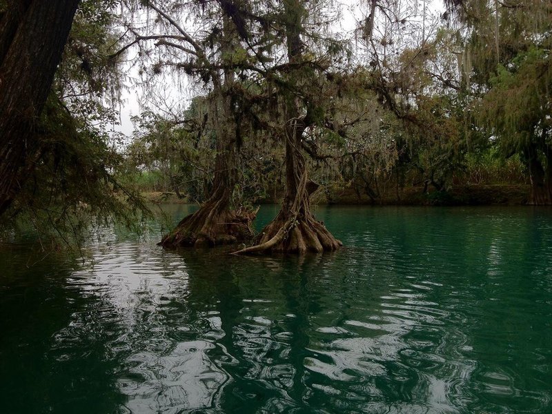 Agua Buena Tourism 2021 Best of Agua Buena, Mexico Tripadvisor