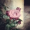 Mandatravels007