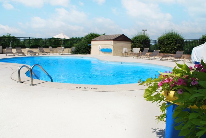 CLARION POINTE JASPER - Updated 2025 Prices, Reviews, and Photos