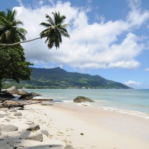 Beach Across the Road