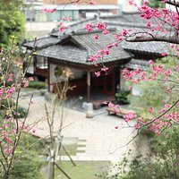 北投文物館─櫻花盛開時館景