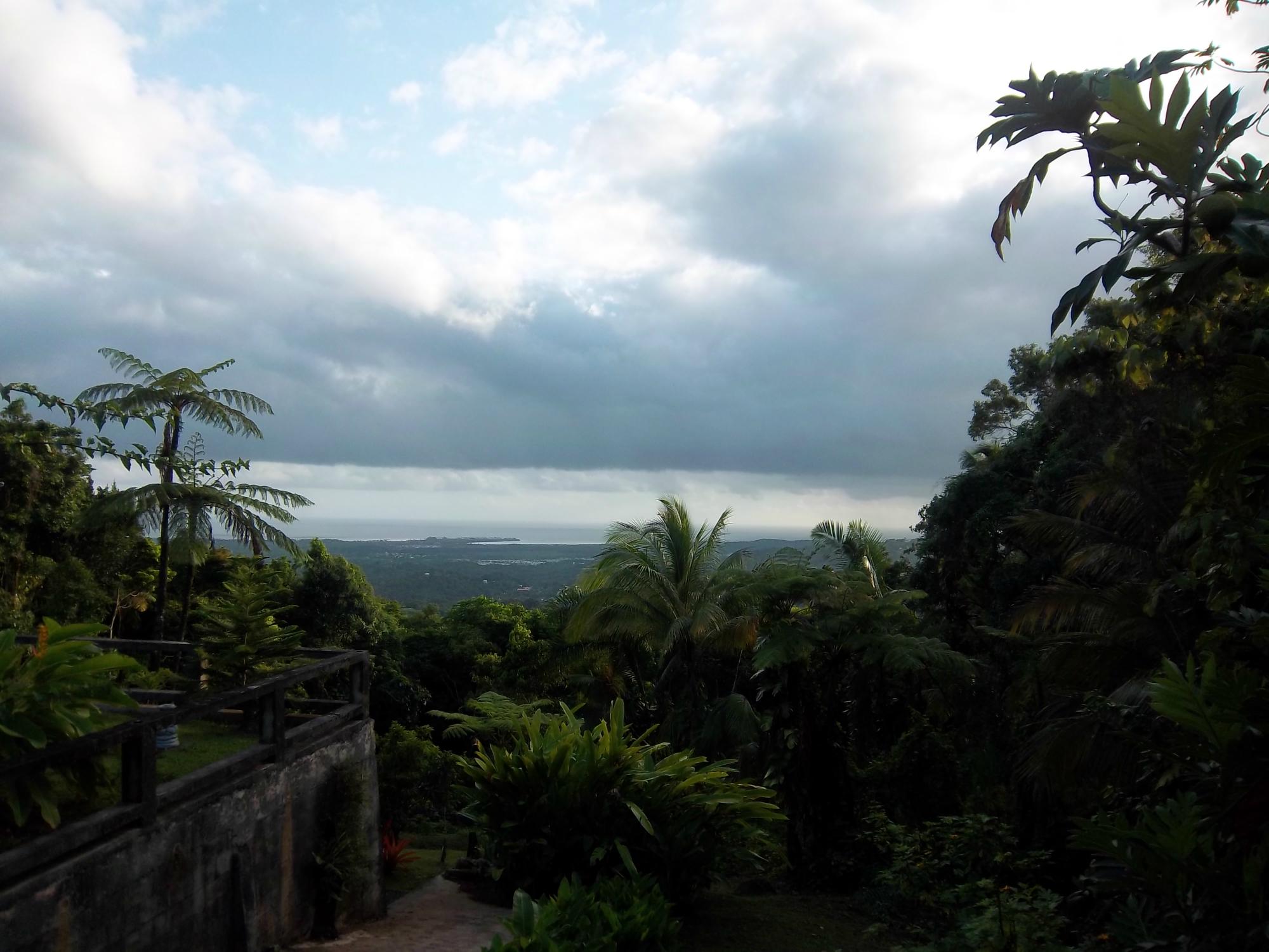 EL YUNQUE RAINFOREST INN (JIMÉNEZ, PORTO RICO): 1.277 Fotos, Comparação ...