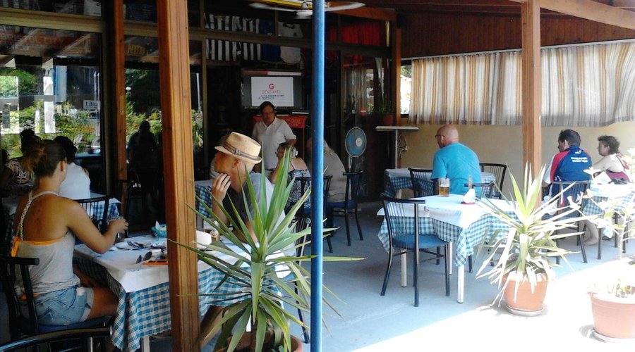 Enjoying their meal in the shade