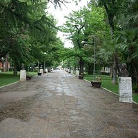 Giardino con i busti, alberi curati....