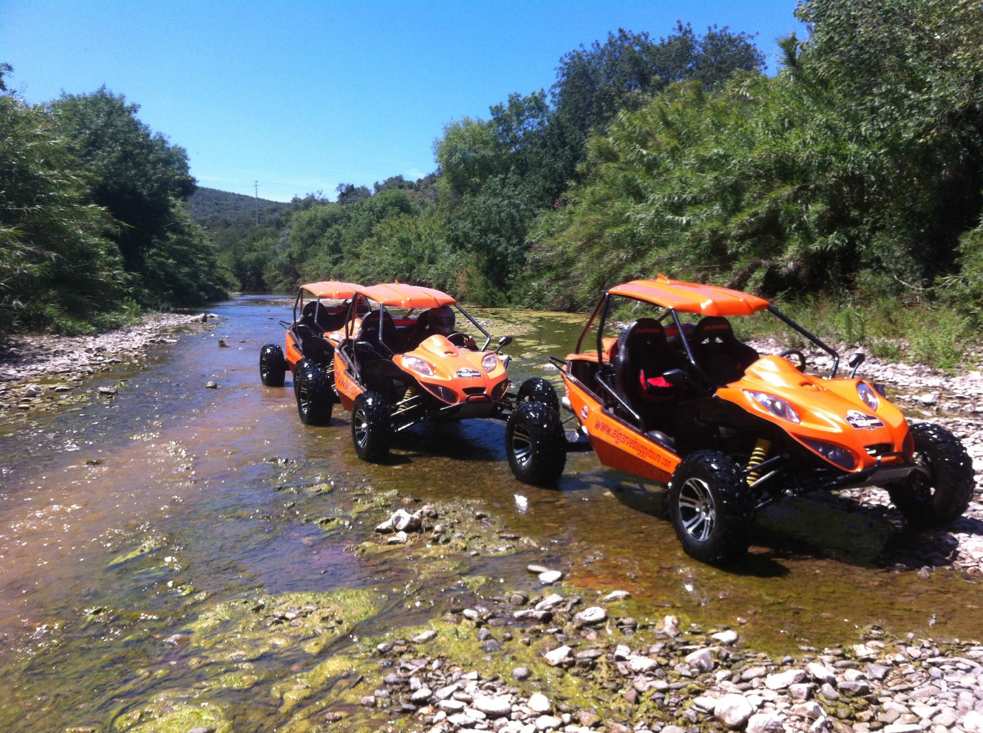 Buggy tours hotsell