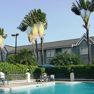 View of hotel from the pool