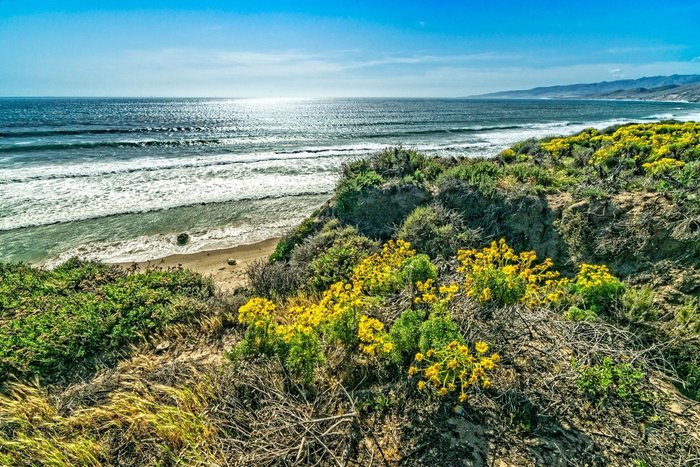 Above the Cliffs at Jalama Beach