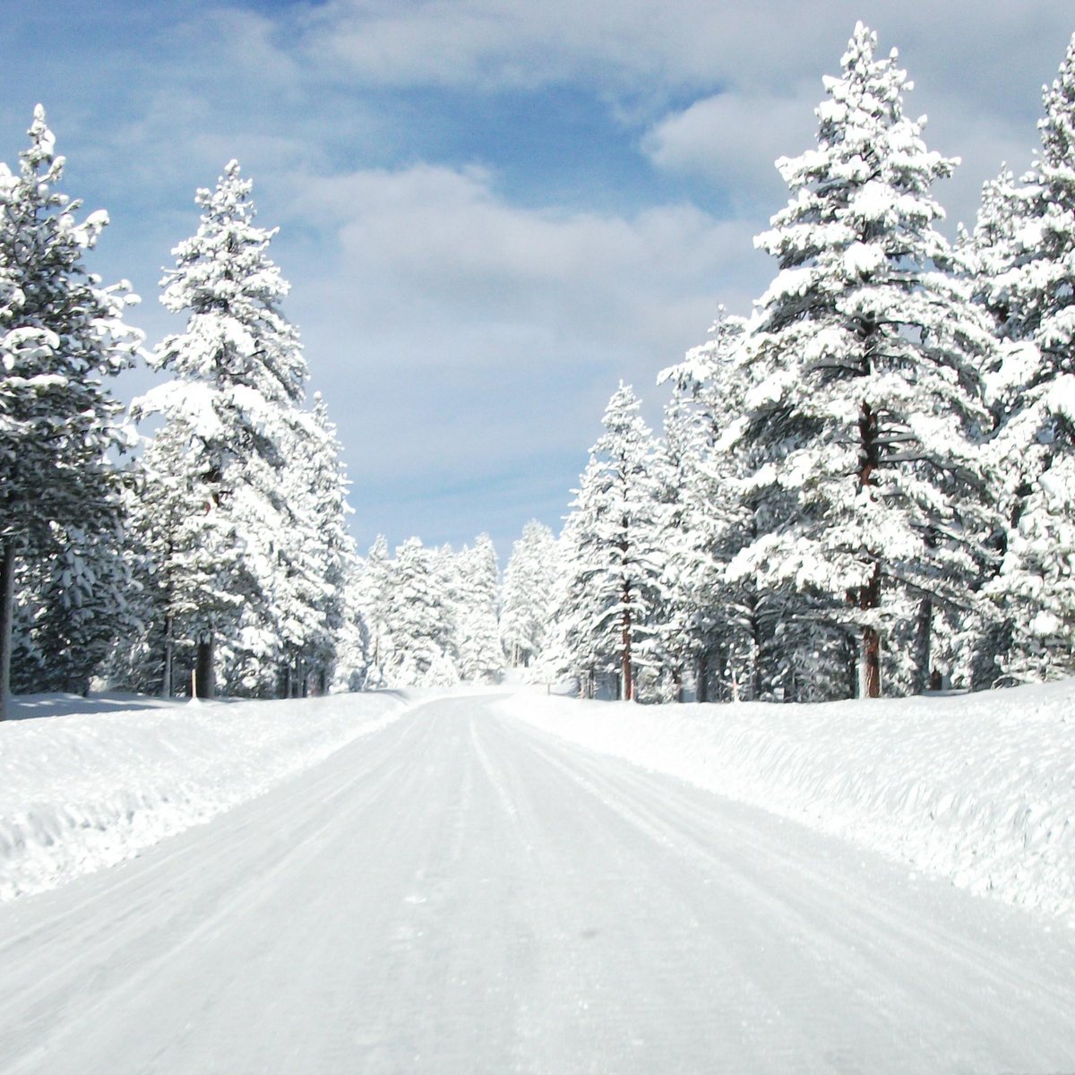 DJ's Snowmobile Adventures (Mammoth Lakes) - All You Need to Know ...