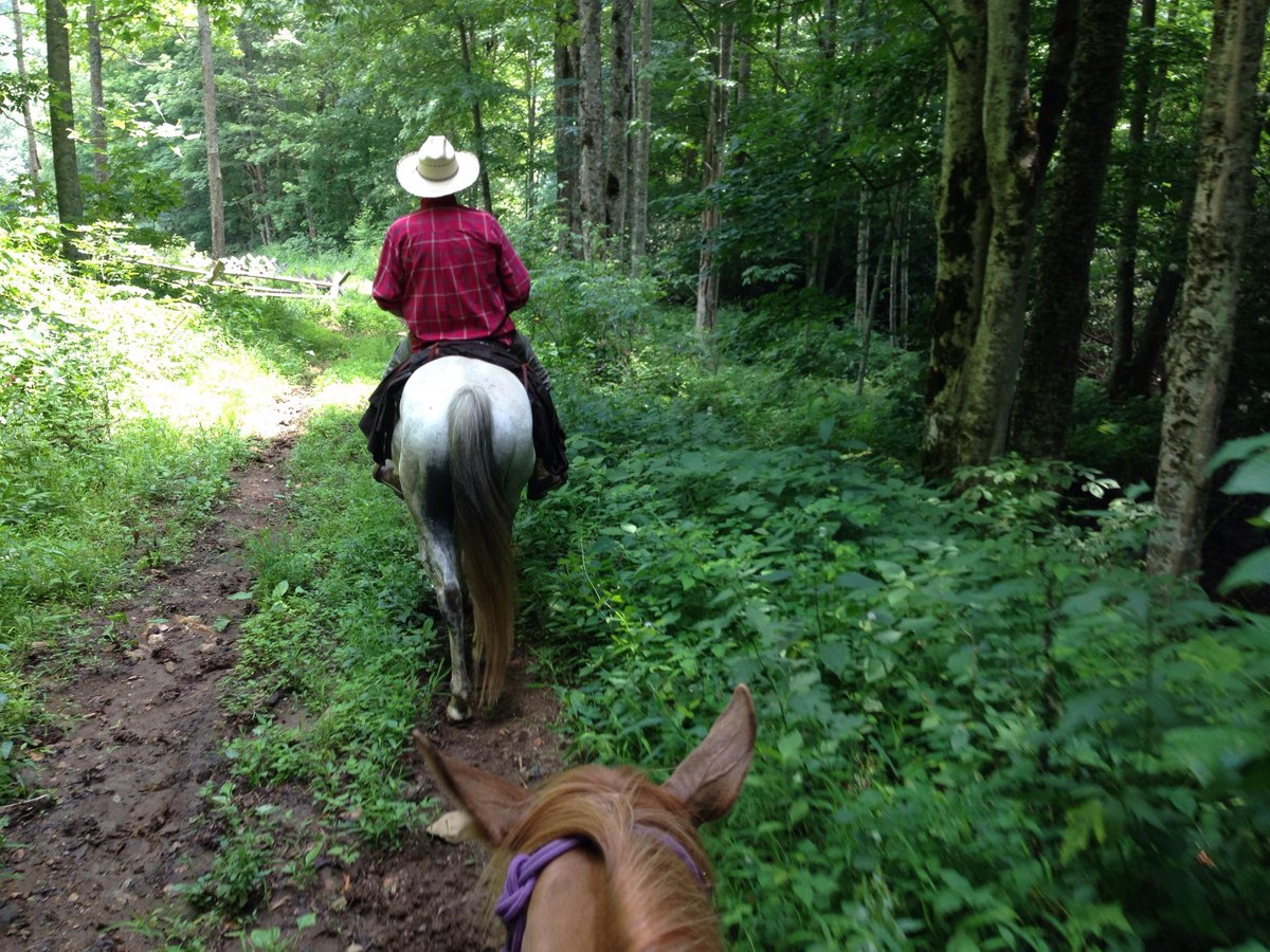 Rowebuck Stud Isfield Riding School and Stables opening times and reviews