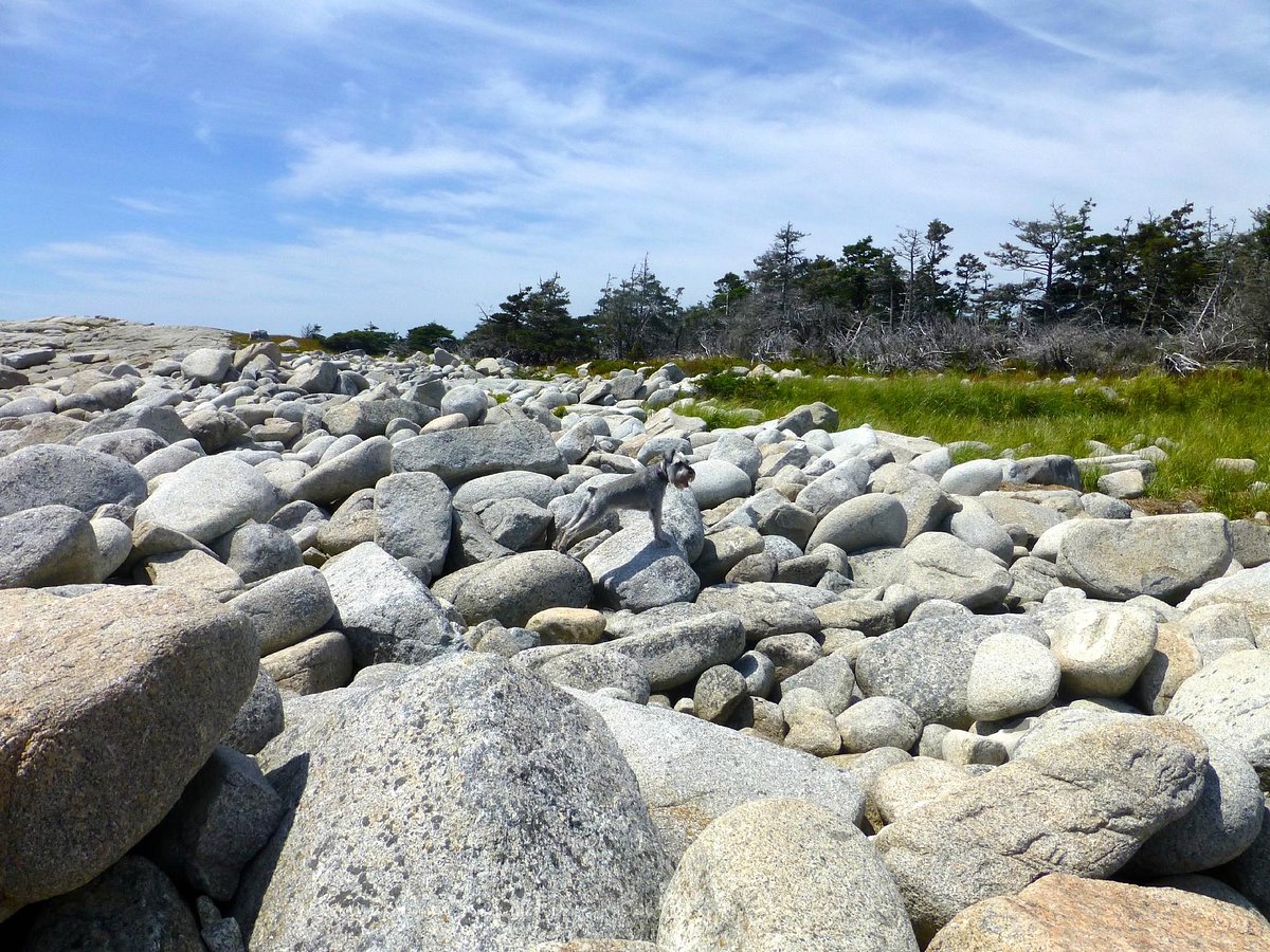 Crystal Crescent Beach Provincial Park - All You Need to Know BEFORE You Go  (2024)