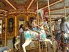 acquario113