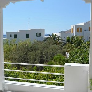oasis view