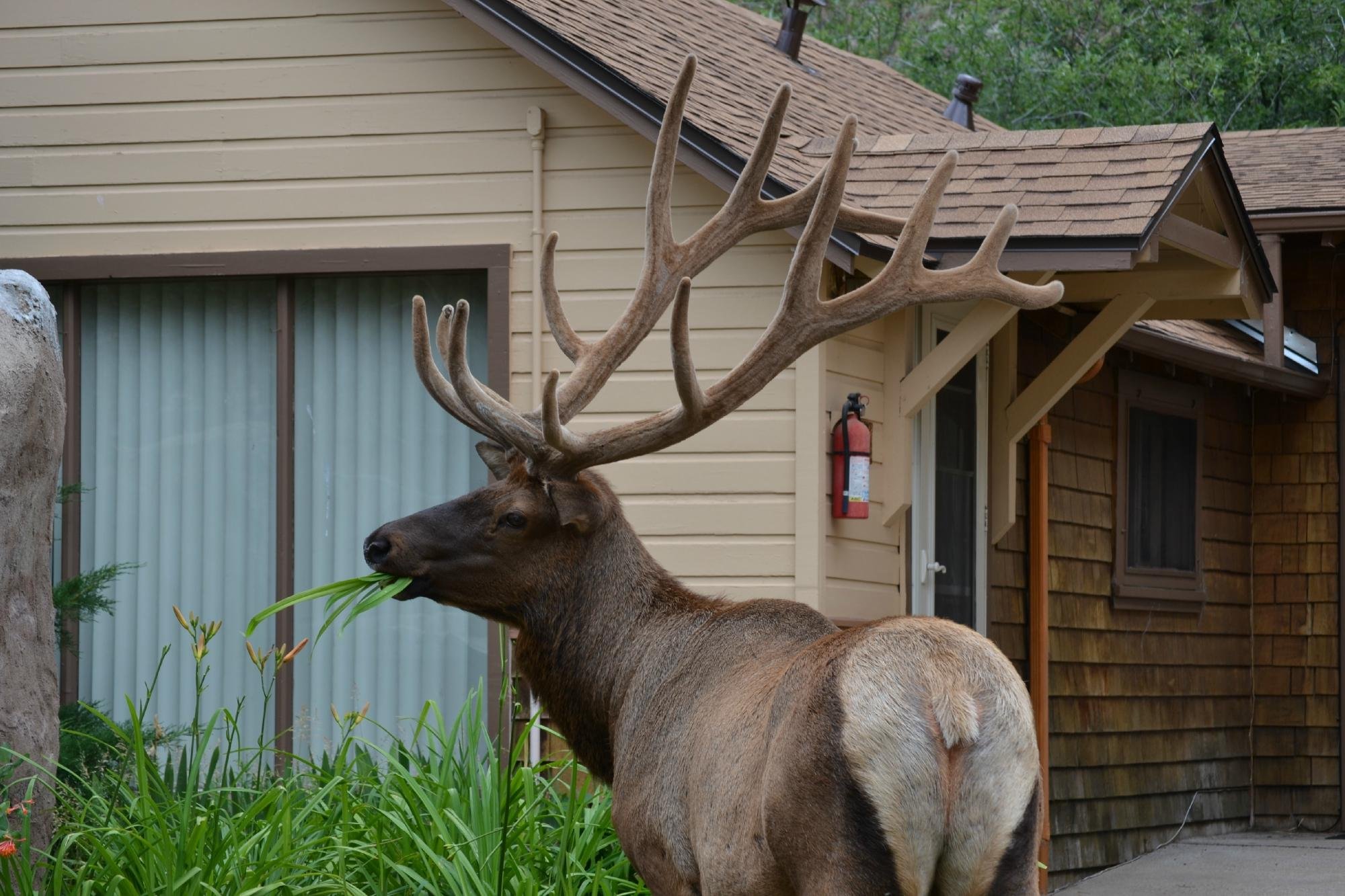 MISTY MOUNTAIN LODGE - Updated 2022 Prices & Reviews (Estes Park, CO)