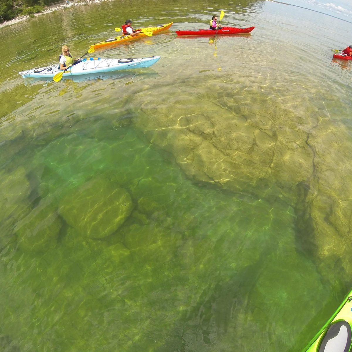 Great Turtle Kayak Tours: Experience Unforgettable Adventures