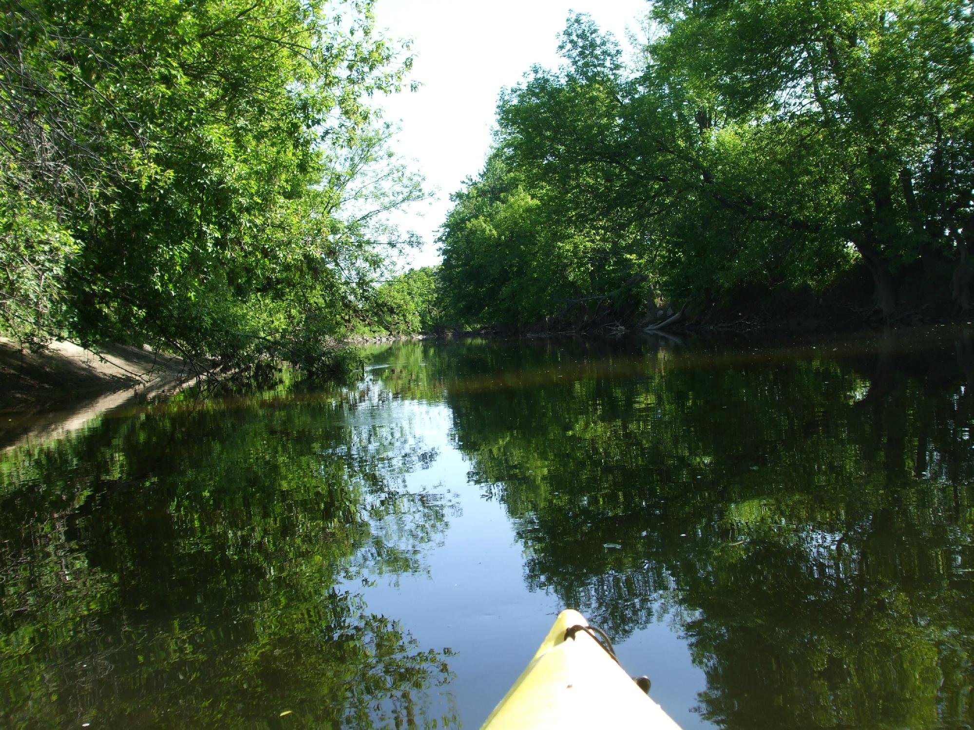 Kayak Safari - All You Need to Know BEFORE You Go (2024)