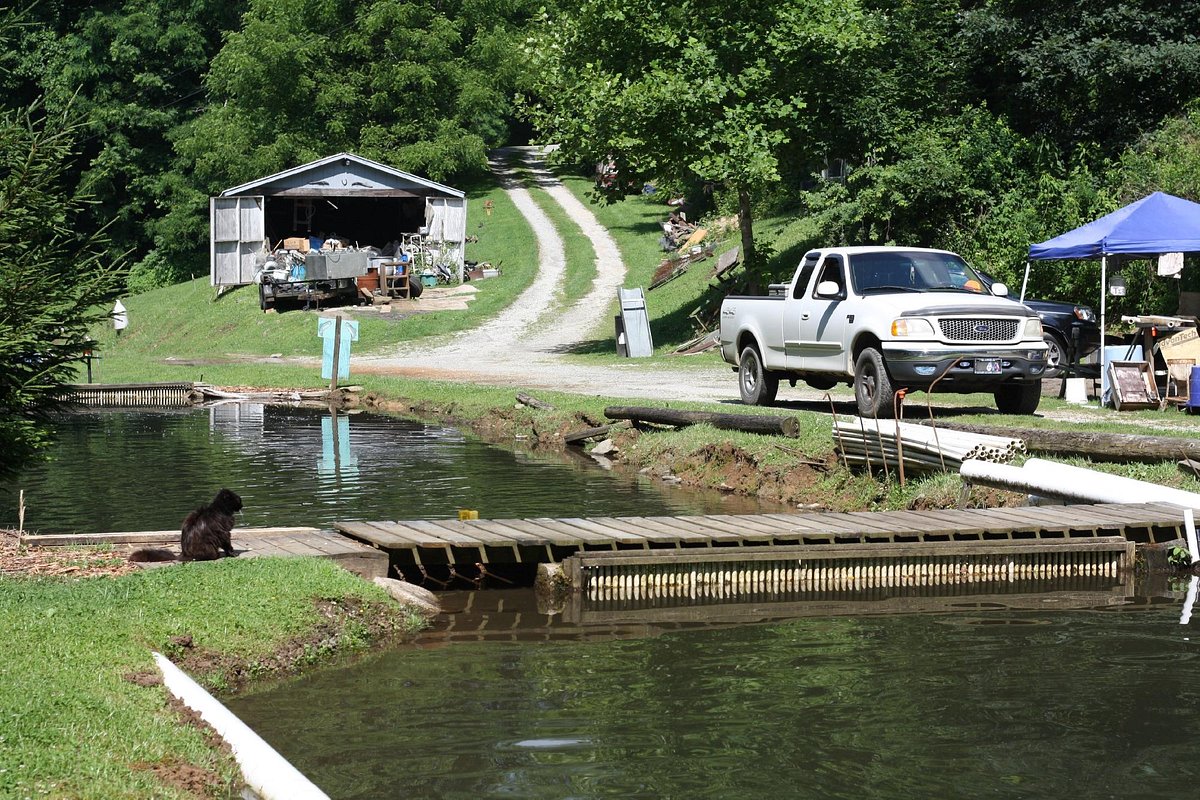  Fly Fishing Fisherman Trout Fish - Cars Trucks Moped