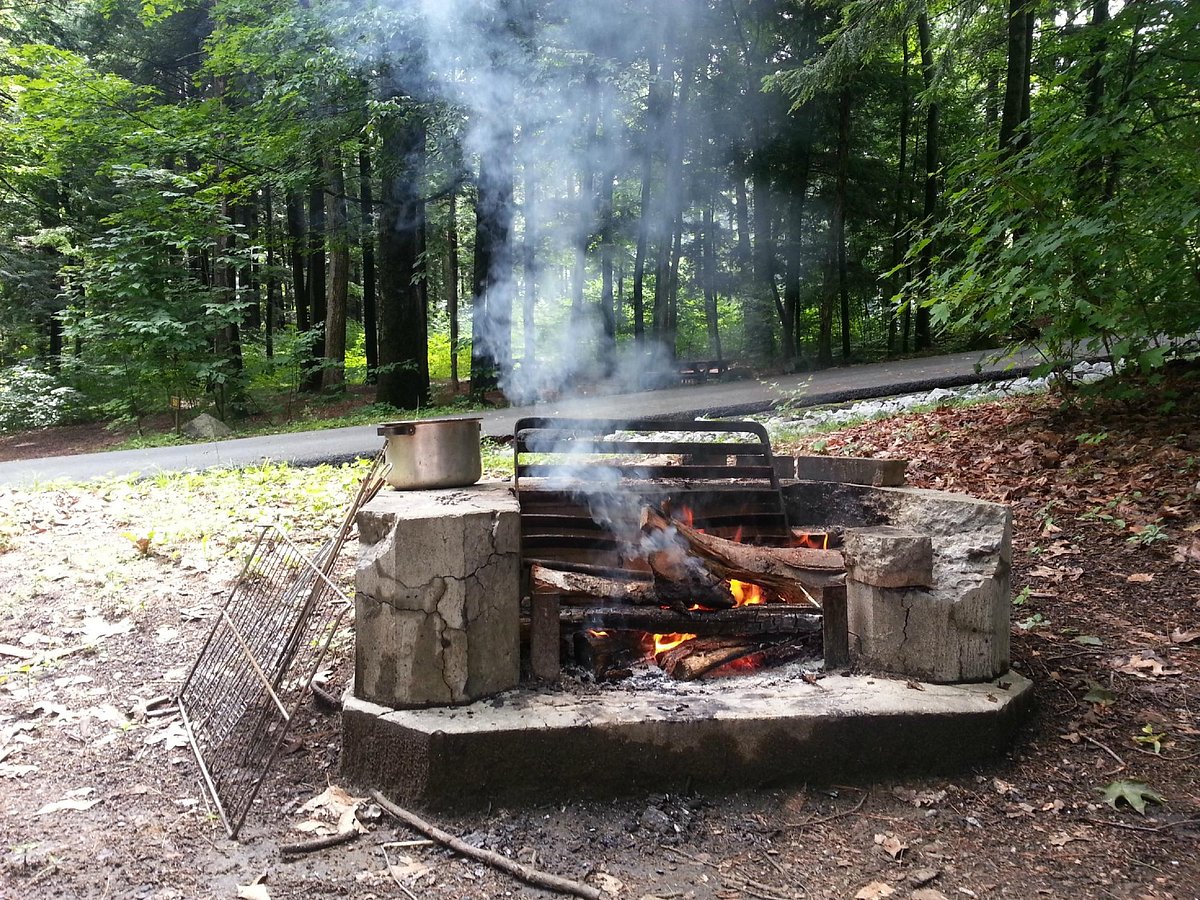 Campfire Roasting Tools, Something for Everyone! – Camp That Site: Enjoy BC  with the right site the first time