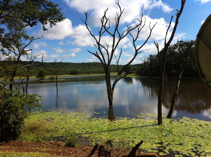 ODYSSEY LODGE - Hotel Reviews (Kadoma, Zimbabwe)