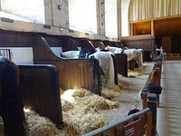 Living Horse Museum - Grandes Ecuries du Château de Chantilly - Chantilly  Senlis Tourisme