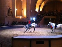 Living Horse Museum - Grandes Ecuries du Château de Chantilly - Chantilly  Senlis Tourisme