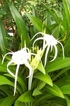 places to visit near jamestown ny SusanG390