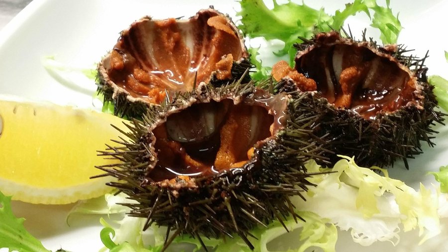 ricci di mare