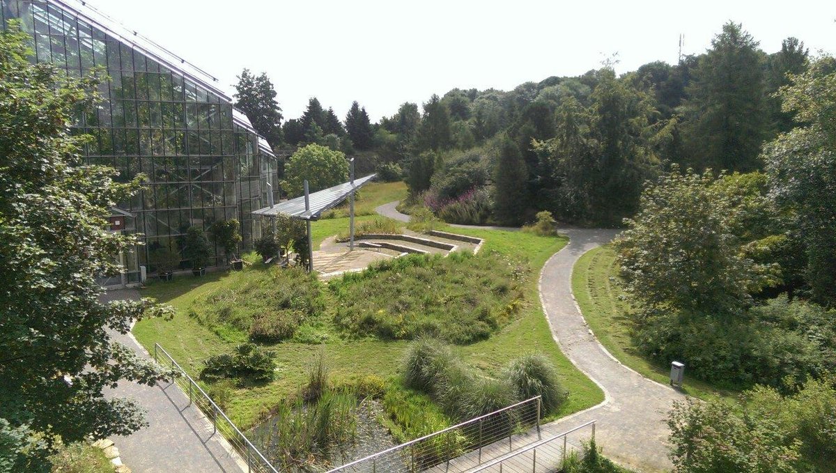 BOTANISCHER GARTEN DER UNIVERSITÄT OSNABRÜCK Qué SABER antes de ir