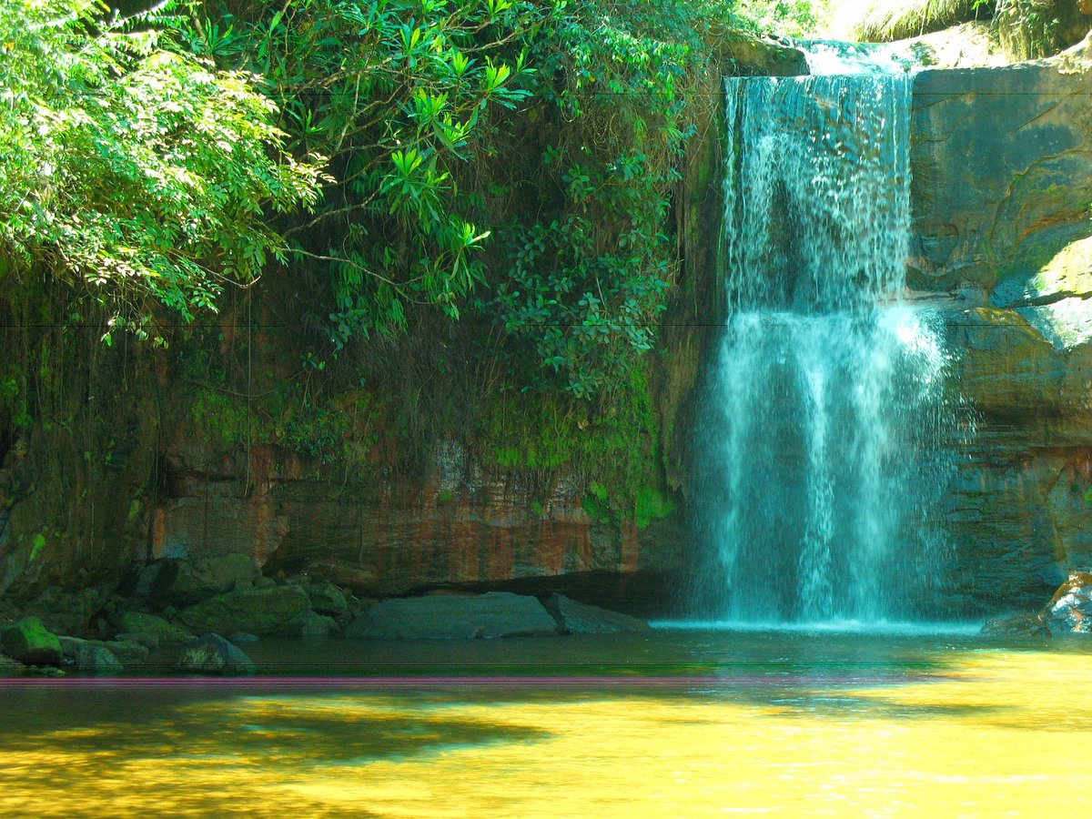 pantanal tour cuiaba