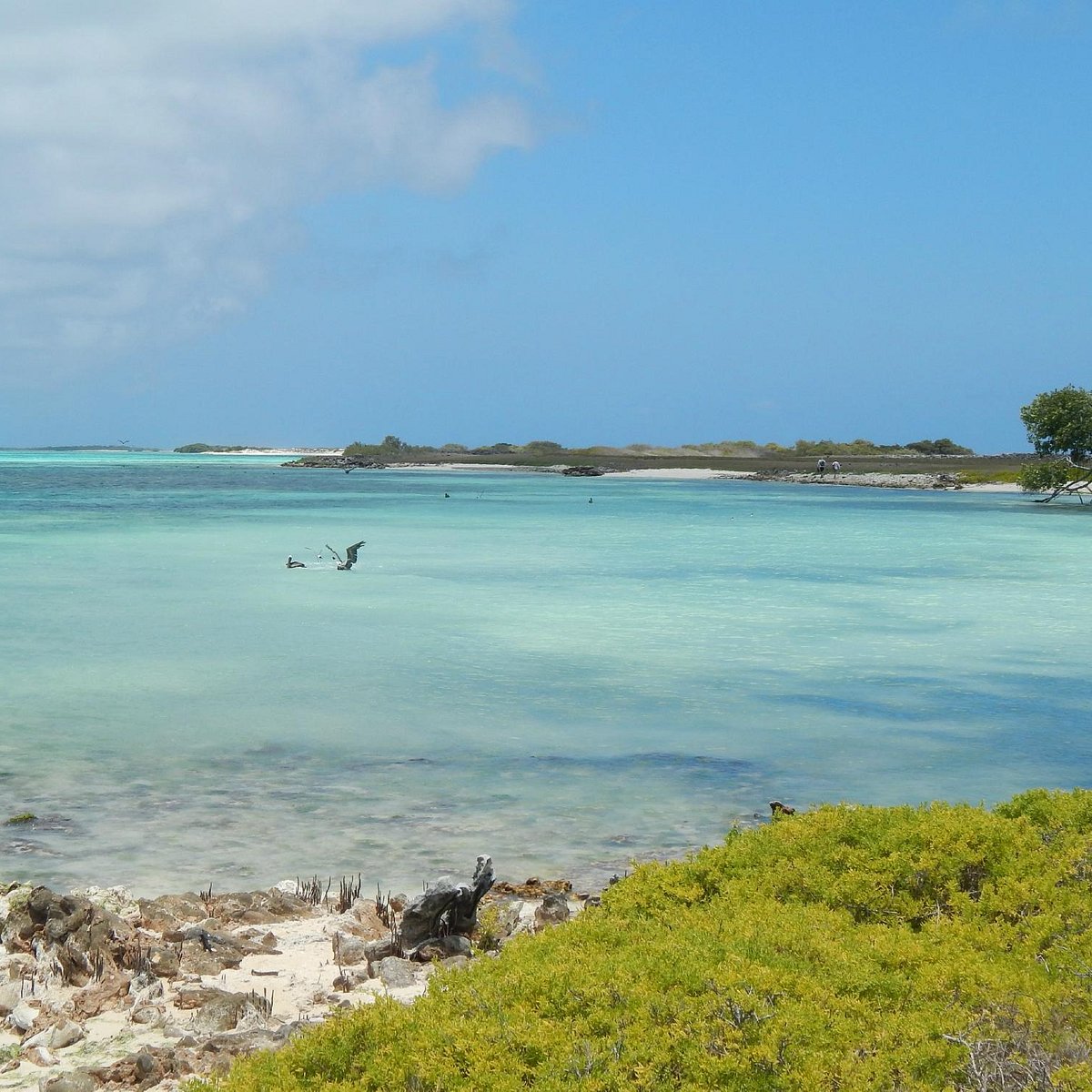 carenero-island-los-roques-national-park-all-you-need-to-know