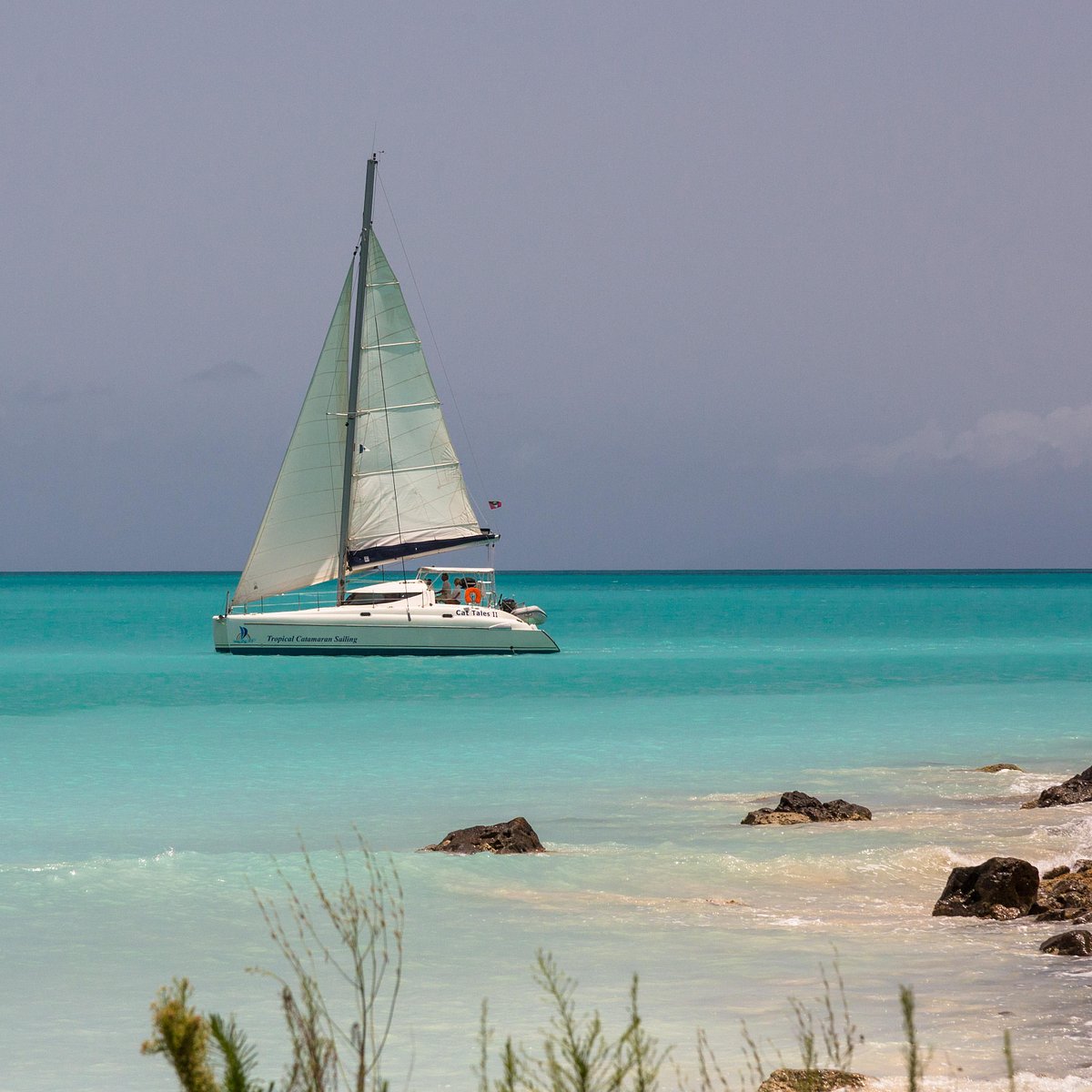 catamaran day sailing