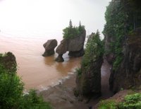 Nova Praia Fluvial Na Baía Do Fundy No Canadá Com Terreno