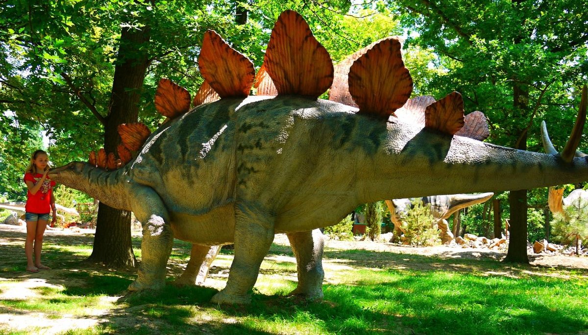 DinoPark Plzen, Пльзень: лучшие советы перед посещением - Tripadvisor