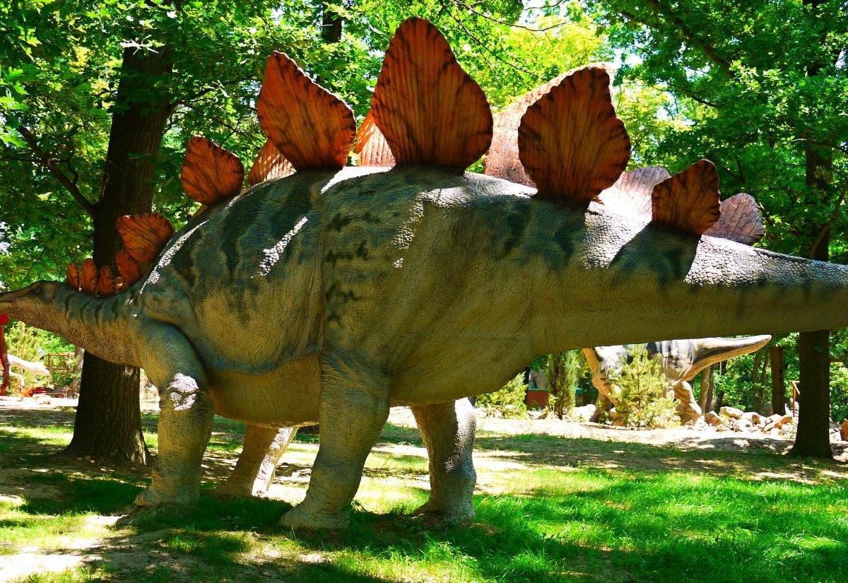 DinoPark Plzen, Пльзень: лучшие советы перед посещением - Tripadvisor