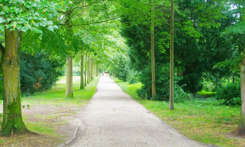 The green walkway...