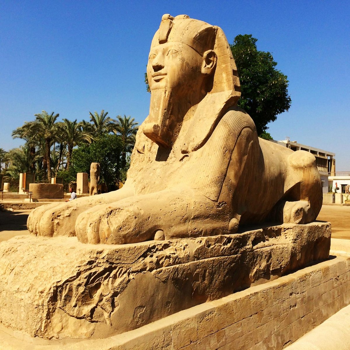 memphis tour egypt reviews