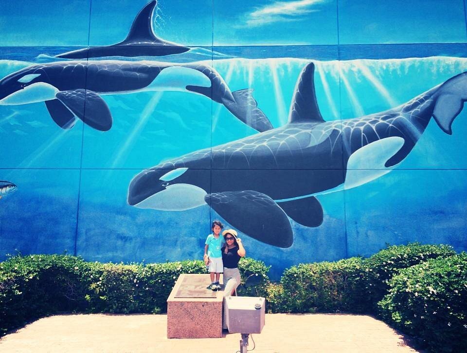 A Wyland painting of a whale at Pier 39 Fisherman s Wharf San