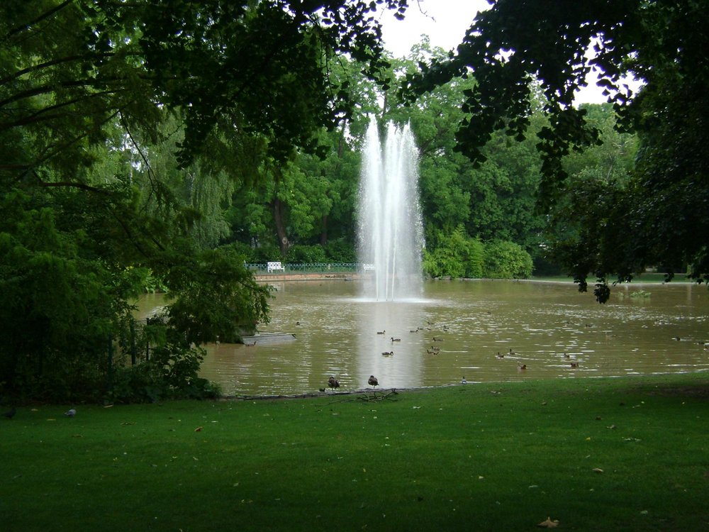 DIE TOP 10 Wiesbaden Parks & Gärten (2024) Tripadvisor