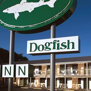 Dogfish Inn