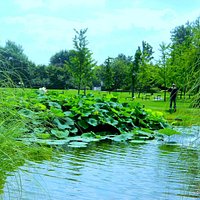 parco nocivelli verolanuova