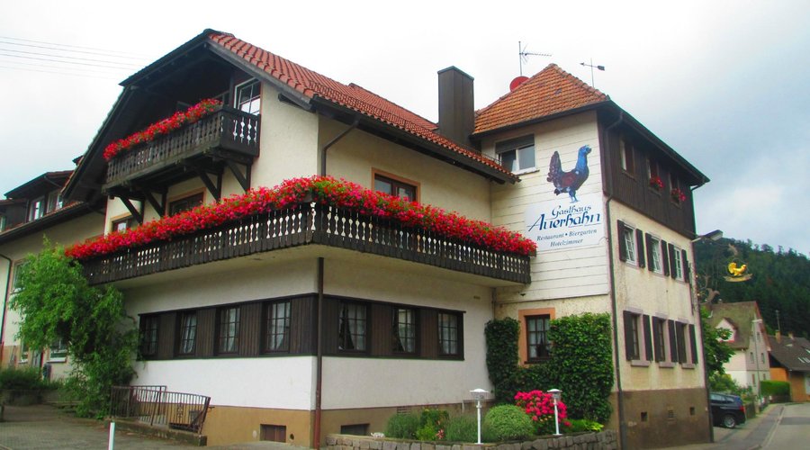 Auerhahn hotel (seen from the apartment)